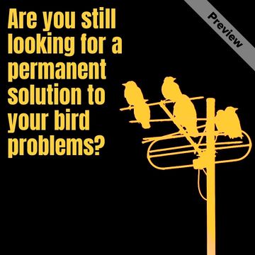 Bird control Video Template