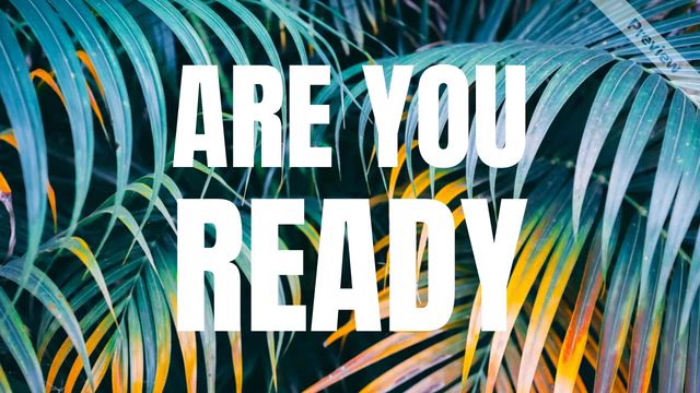 Midsummer Sale Video Template