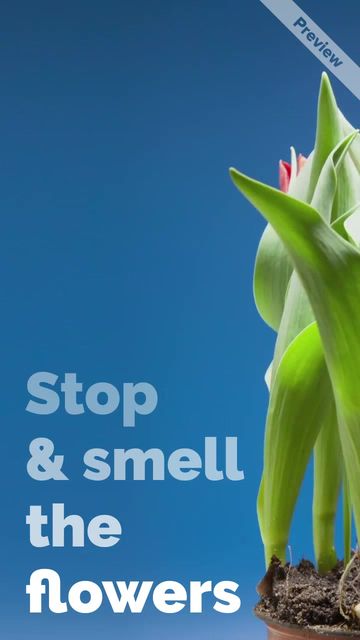 Sweet Blooms Video Template