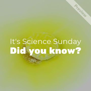 Science Sunday Video Template