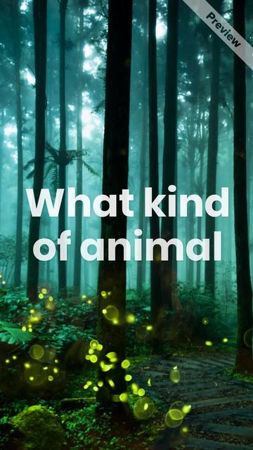 National Trivia Day | Jan 4 Video Template