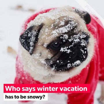 Winter packages Video Template