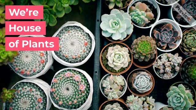 Introducing your brand Video Template