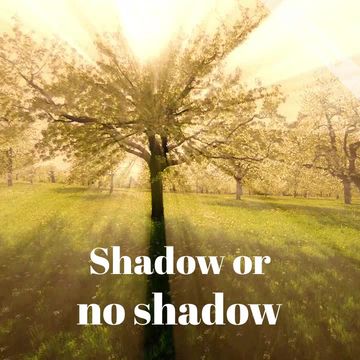 Happy Groundhog Day! Video Template