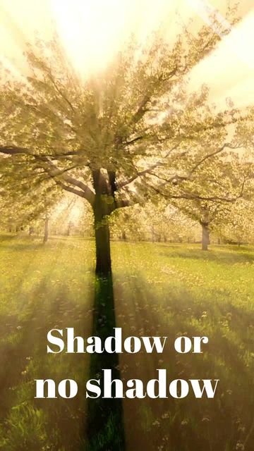 Happy Groundhog Day! Video Template