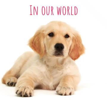 Puppy Day Video Template