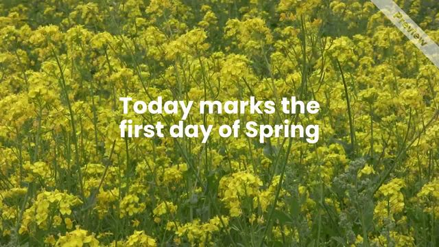 #SpringEquinox Video Template