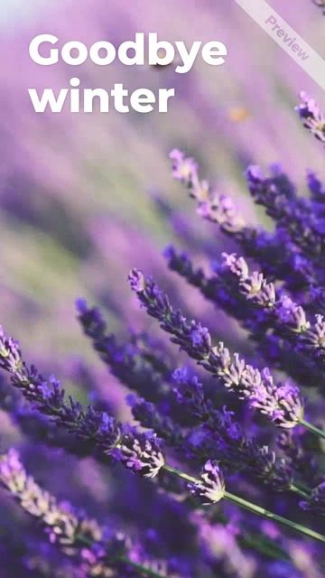 Hello Spring Video Template