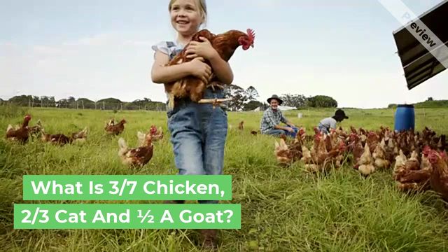 Brain teaser Video Template