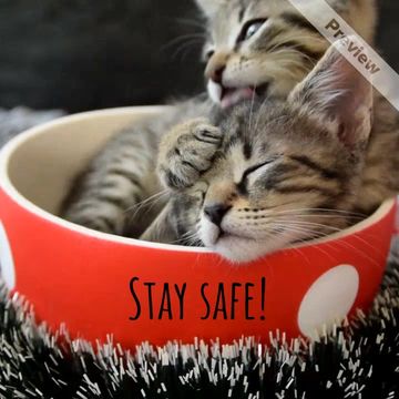 Order online Video Template