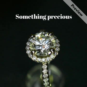 Priceless Video Template