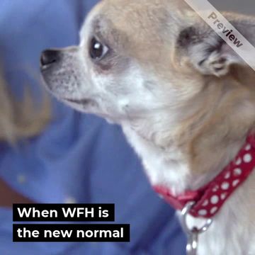 Work from Home. Video Template