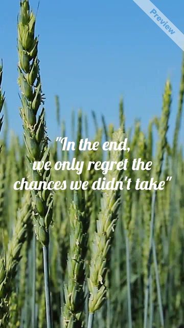 Quote Video Template