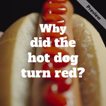 Hot Dog Day Video Template