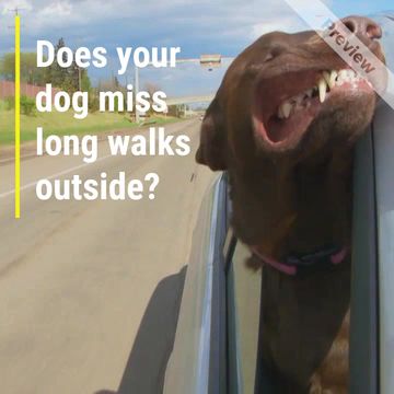 long walks Video Template