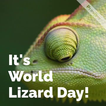 World Lizards Day