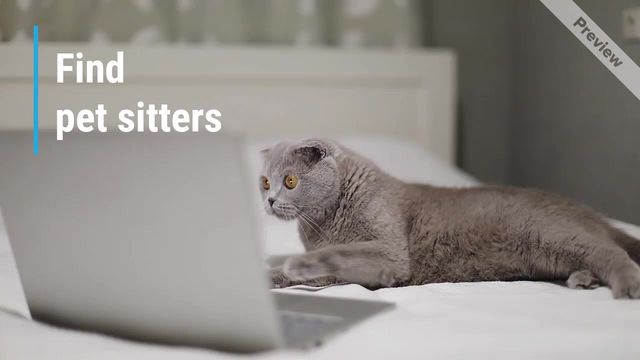 Pet App Video Template