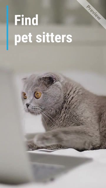 Pet App Video Template