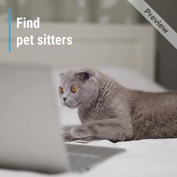 Pet App Video Template