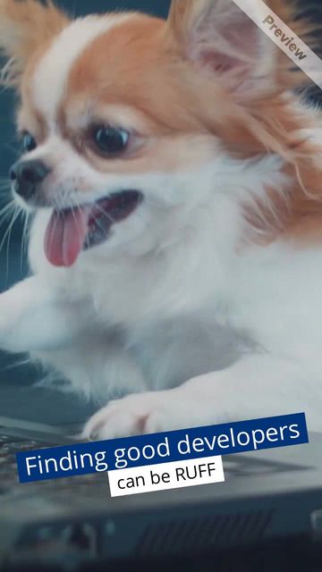 Good Developers Video Template