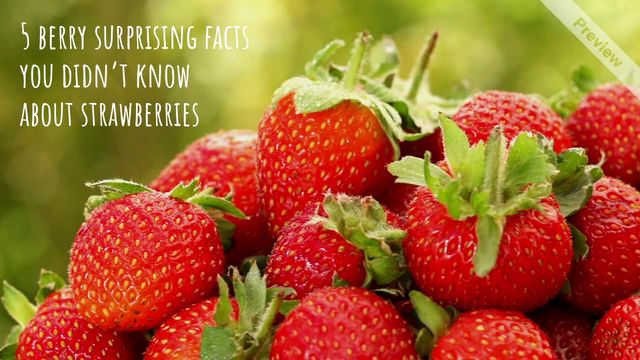 Strawberry Day Video Template