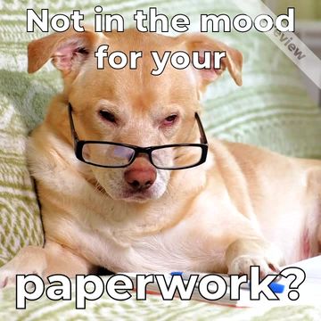 Not In The Mood Video Template