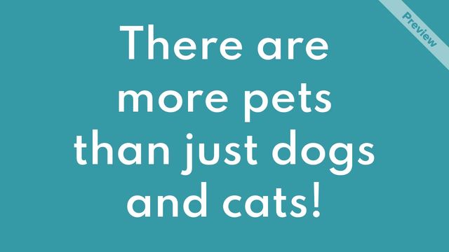 #NationalPetDay Video Template