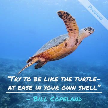 World Turtle Day®