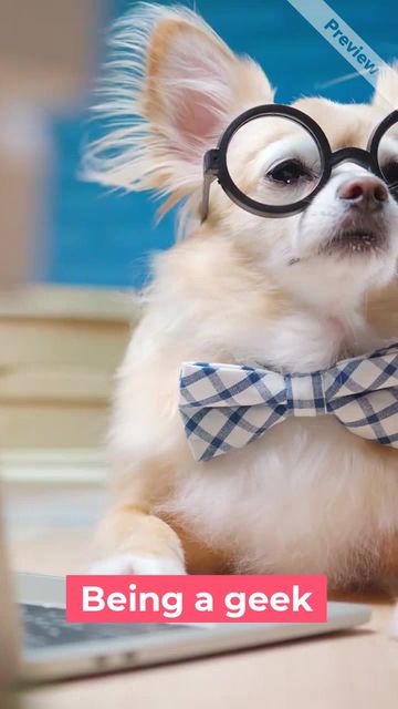 Embrace Your Geekness Video Template