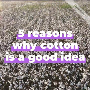 World Cotton Day