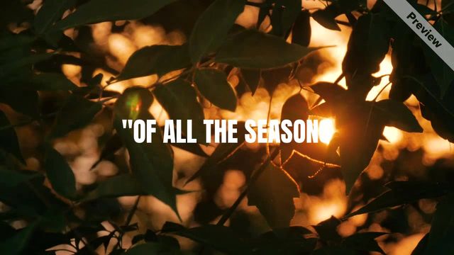 Autumn sale time Video Template