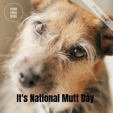 National Mutt Day