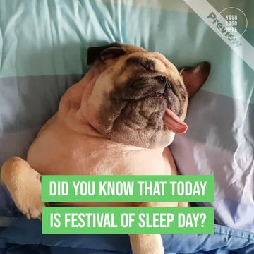 Festival of Sleep Day