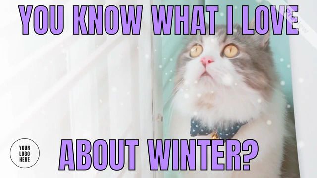 Winter Cat Meme Video Template