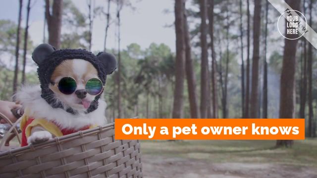 Love Your Pet Day Video Template
