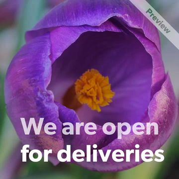 We Are Open I Flower Video Template