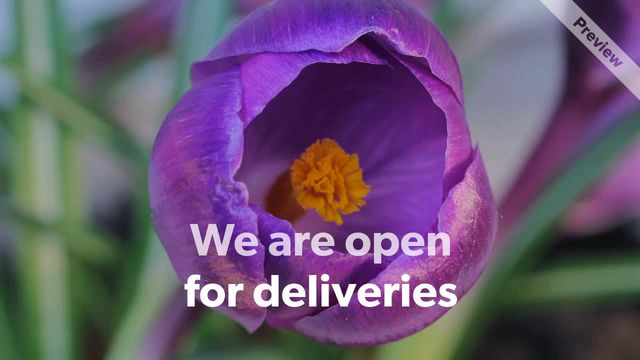 We Are Open I Flower Video Template