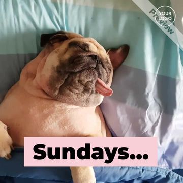 #SundayVibes Video Template