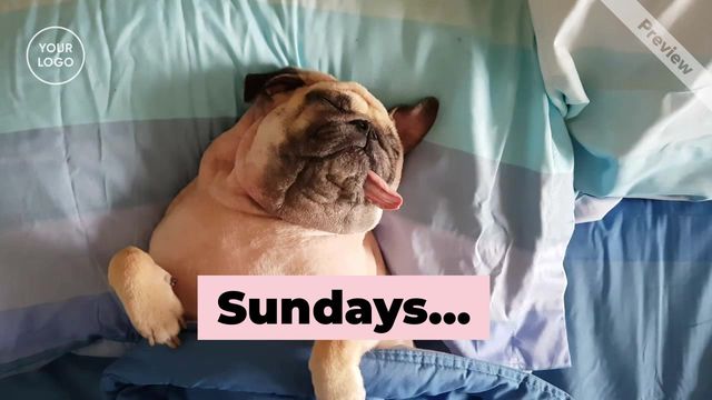 #SundayVibes Video Template