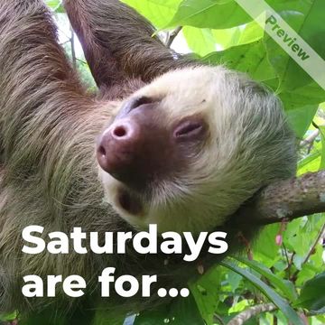 #SaturdayVibes are for... Video Template