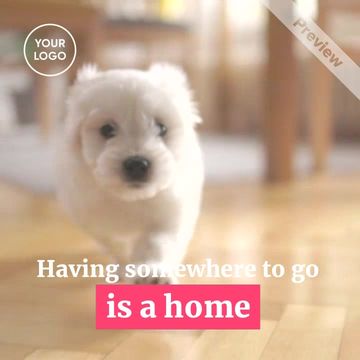 Dog Walking Ad Templates  | Marketing Video Maker