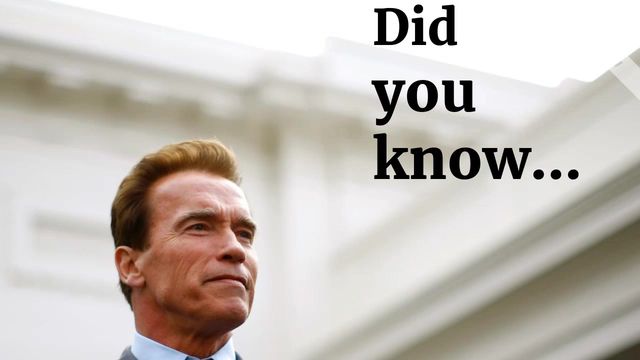 Real Estate | The Terminator Way Video Template