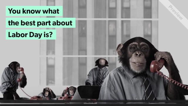 Labor Day | Funny Video Template