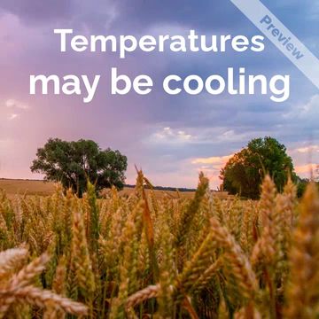 Cool Fall Sales Video Template