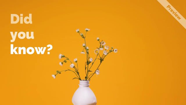 America Recycles Day | Nov 15 Video Template