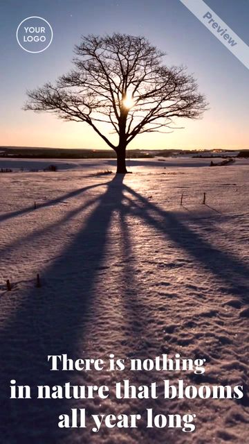 Slow Down Saturday Video Template