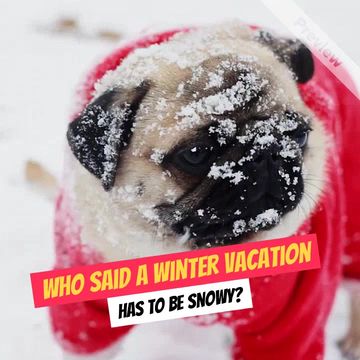 Winter Destinations Video Template