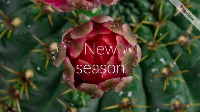 New Season, New You | Sales  Video Template