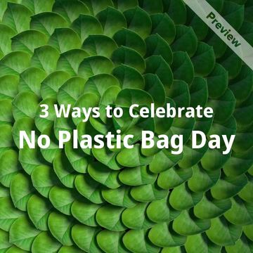 No Plastic Bag Day