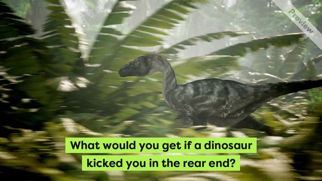 Joke of the Day | Aug 17 Video Template